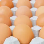 Salmonella, recall of fresh eggs from supermarkets: the lots involved