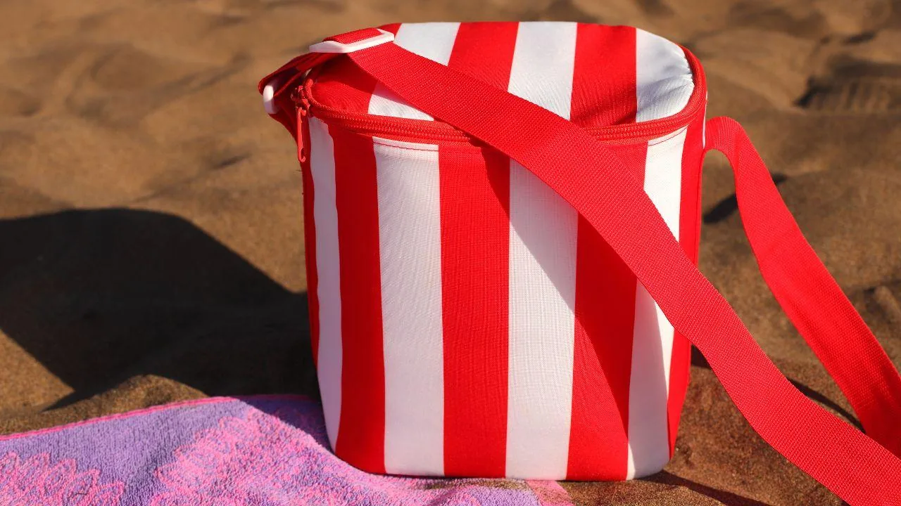 Suitcase, cooler bag on the beach: can the resorts ban them? The expert responds (who indicates a limit)