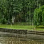 Weather in Tuscany, peak of the heat then thermal collapse and storms: is it really like that? The analysis for each province