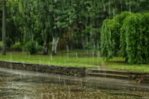 Weather in Tuscany, peak of the heat then thermal collapse and storms: is it really like that? The analysis for each province