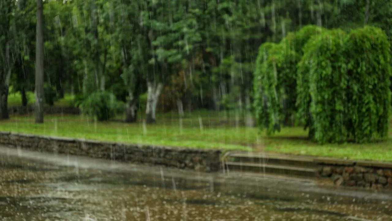 Weather in Tuscany, peak of the heat then thermal collapse and storms: is it really like that? The analysis for each province