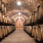 Wine, too much stock: now the watchword is "cut". And uprooting is no longer a taboo