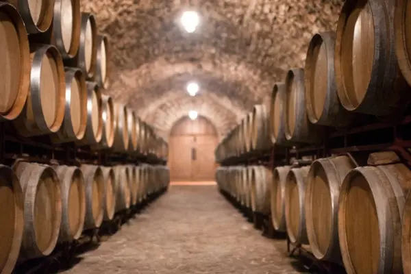 Wine, too much stock: now the watchword is "cut". And uprooting is no longer a taboo