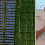 Suitable areas and photovoltaic, Sanavio: «The Court's ruling changes the framework for Tuscany»
