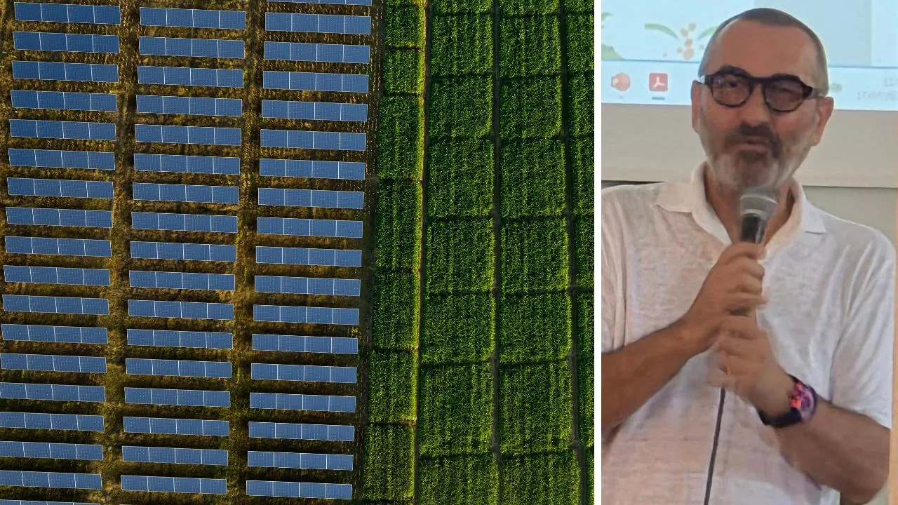 Suitable areas and photovoltaic, Sanavio: «The Court's ruling changes the framework for Tuscany»