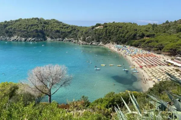 Tourist reviews (on Google Maps) reward Tuscany: three beaches in the Italian top 30 2026