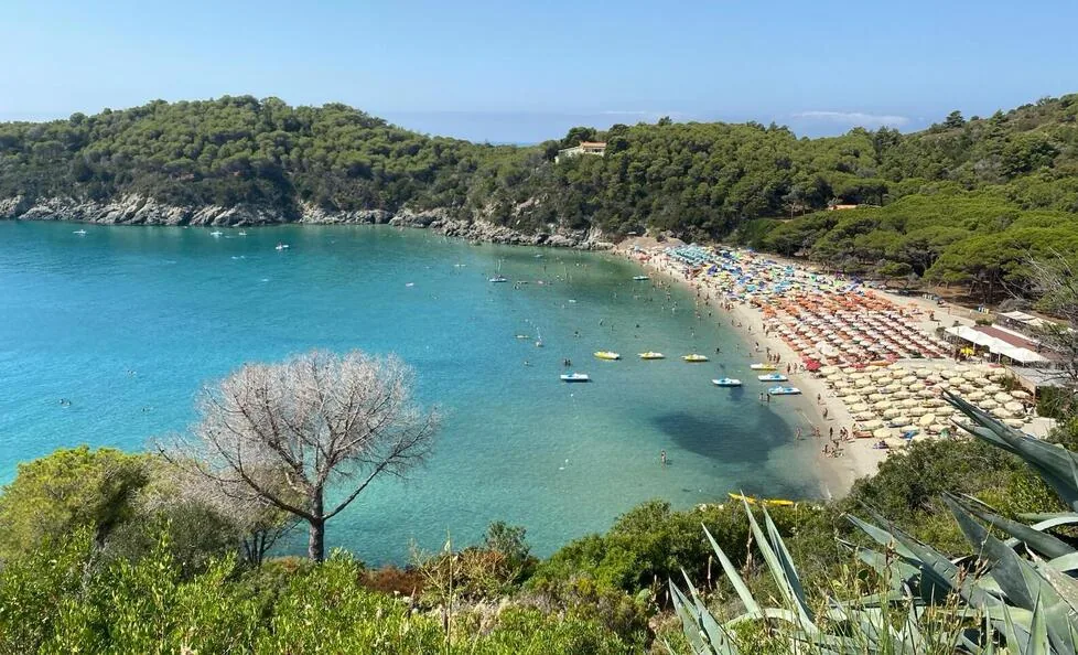 Tourist reviews (on Google Maps) reward Tuscany: three beaches in the Italian top 30 2026