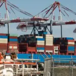 Ddl Ports, Ancip submits its amendments