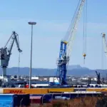 Olbia, two new degree courses are coming: here is what they are