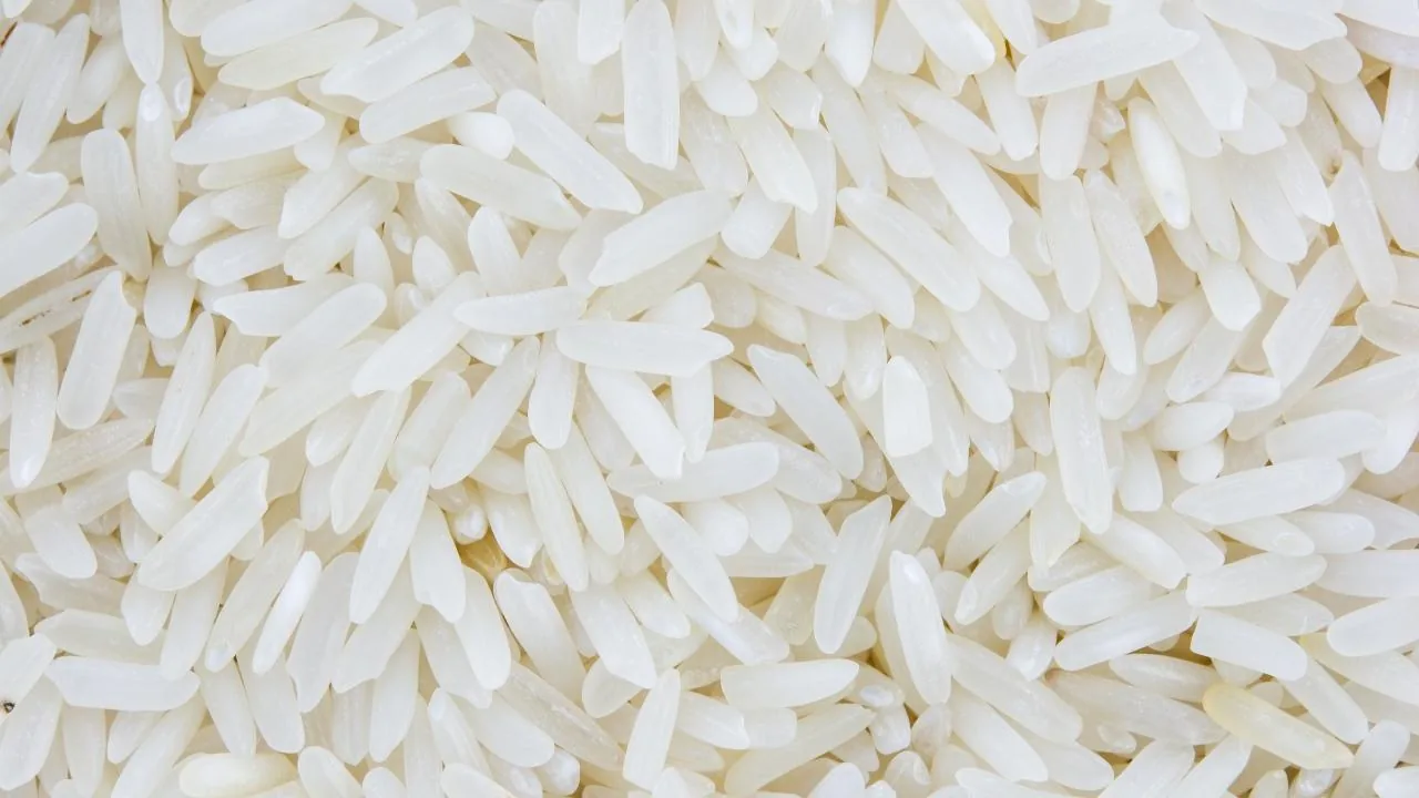 Maxi recall of Carnaroli rice, Roma rice, pasta and beans: all products involved – If you have them, do not consume them