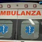 Dies at 20 in car crash against a wall
