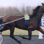 Varenne has died, the greatest trotter of all time