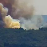 Maxi fire in the woods of San Donato: «High risk of spread» – Planes and volunteers on site / Updates