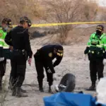 Plane crash in Peru: 7 Italians among the 13 dead on the Nazca Lines flight – Who are the victims