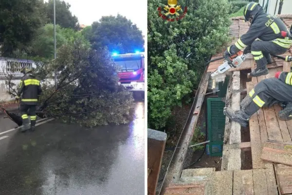 Bad weather in Tuscany, 21 thousand lightning strikes in six hours: fallen trees and fire brigade interventions
