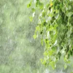 Weather in Tuscany, confirmed: storms and a cool down on the way – When will the summer "break"?