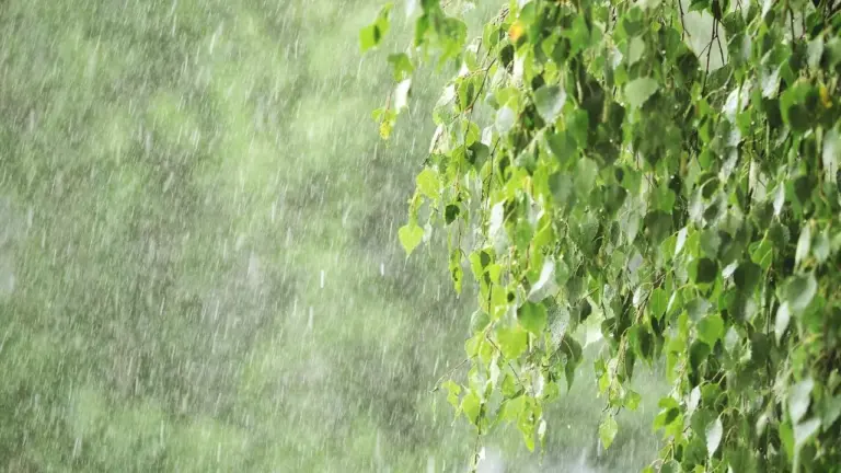 Weather in Tuscany, confirmed: storms and a cool down on the way – When will the summer "break"?