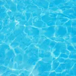 2-year-old girl found dead in swimming pool