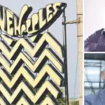 Seven Apples is reborn, here are the entrepreneurs who took over the historic Versilia business