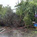 Bad weather in Tuscany, chaos in Maremma and damage in Cecina. New storms arriving – Live