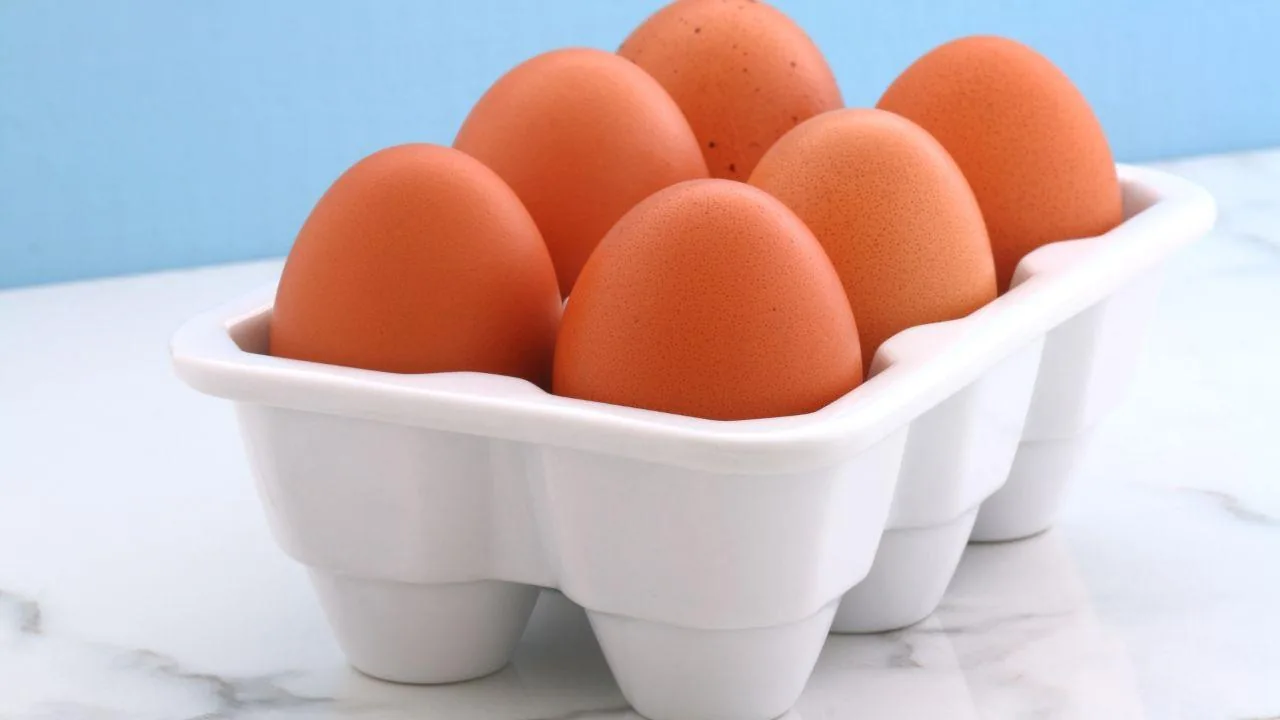 Recall of fresh eggs due to salmonella risk: the brands involved